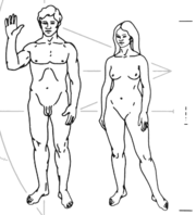 Humans depicted on the Pioneer&nbsp;plaque