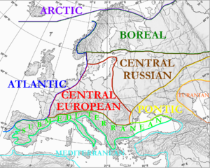 Floristic regions in Europe according to Wolfgang Frey and Rainer L&ouml;sch