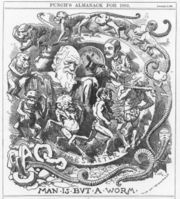 Punch's almanac for 1882, published shortly before Darwin&rsquo;s death, depicts him amidst evolution from chaos to Victorian gentleman with the title Man Is But A Worm.