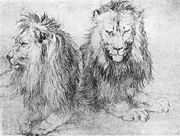 Albrecht D&uuml;rer, Lions sketch. Circa 1520.