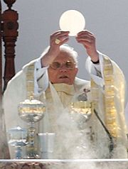Pope Benedict XVI celebrates Holy Mass at the canonization of Frei Galv&atilde;o in S&atilde;o Paulo, Brazil on May 11, 2007.
