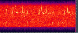 Humpback Whale song spectrogram,&mdash; Play audio (OGG format, 57 kB)