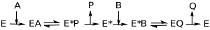 Ping&ndash;pong mechanism for an enzyme reaction. Enzyme intermediates contain substrates A and B or products P and Q.