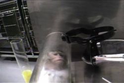 A monkey in a restraint tube filmed by PETA in a Covance branch, Vienna, Virginia, 2004&ndash;2005