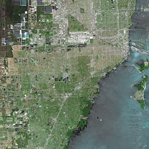 Image:Miami SPOT 1285.jpg