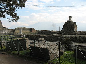 Fencing in the temple of Venus prevents vandalism of the site, as well as theft.