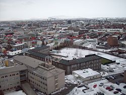 Reykjavik seen from Hallgr&iacute;mskirkja