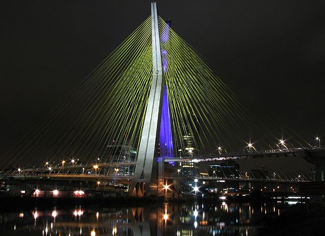 Image:Ponte Estaiada - S&atilde;o Paulo.jpg