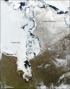 In late spring (May), large chunks of ice float near the eastern shore of the bay, while to the west, the center of the bay remains frozen. Between 1971 and 2007, the length of the ice-free season in the southwestern part of the Hudson Bay &mdash; historically the last area to thaw &mdash; increased by about seven days.