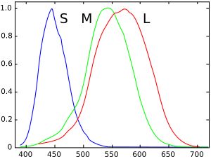 Normalized typical human cone cell responses (S, M, and L types) to monochromatic spectral stimuli