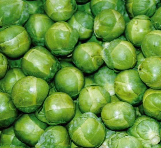 charity christmas cards