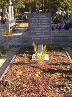 Graves of a Hungarian honvéd captain and 6 of his men who fell, fighting on the Polish side.