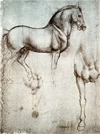Study of horse from Leonardo's journals &ndash; Royal Library, Windsor Castle