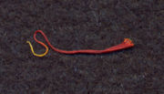 Close-up of a single crocus thread (the dried stigma). Actual length is about 20&nbsp;millimetres (0.8&nbsp;in).