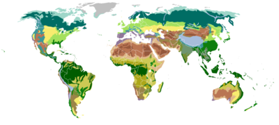Biomes classified by vegetation Ice desert Tundra Taiga Temperate broadleaf Temperate steppe Subtropical rainforest Mediterranean Monsoon forest Desert Xeric shrubland Dry steppe Semidesert Grass savanna Tree savanna Subtropical dry forest Tropical rainforest Alpine tundra Montane forests
