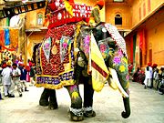 A decorated Indian elephant in Jaipur, India.
