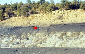 K&ndash;T boundary along Interstate 25 near Raton Pass, Colorado. The iridium-rich ash (the boundary) is indicated by the red arrow.
