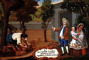 A representation of a Mestizo, in a "Pintura de Castas" in the Colonial era. "From Spaniard and Amerindian woman, begets Mestizo".